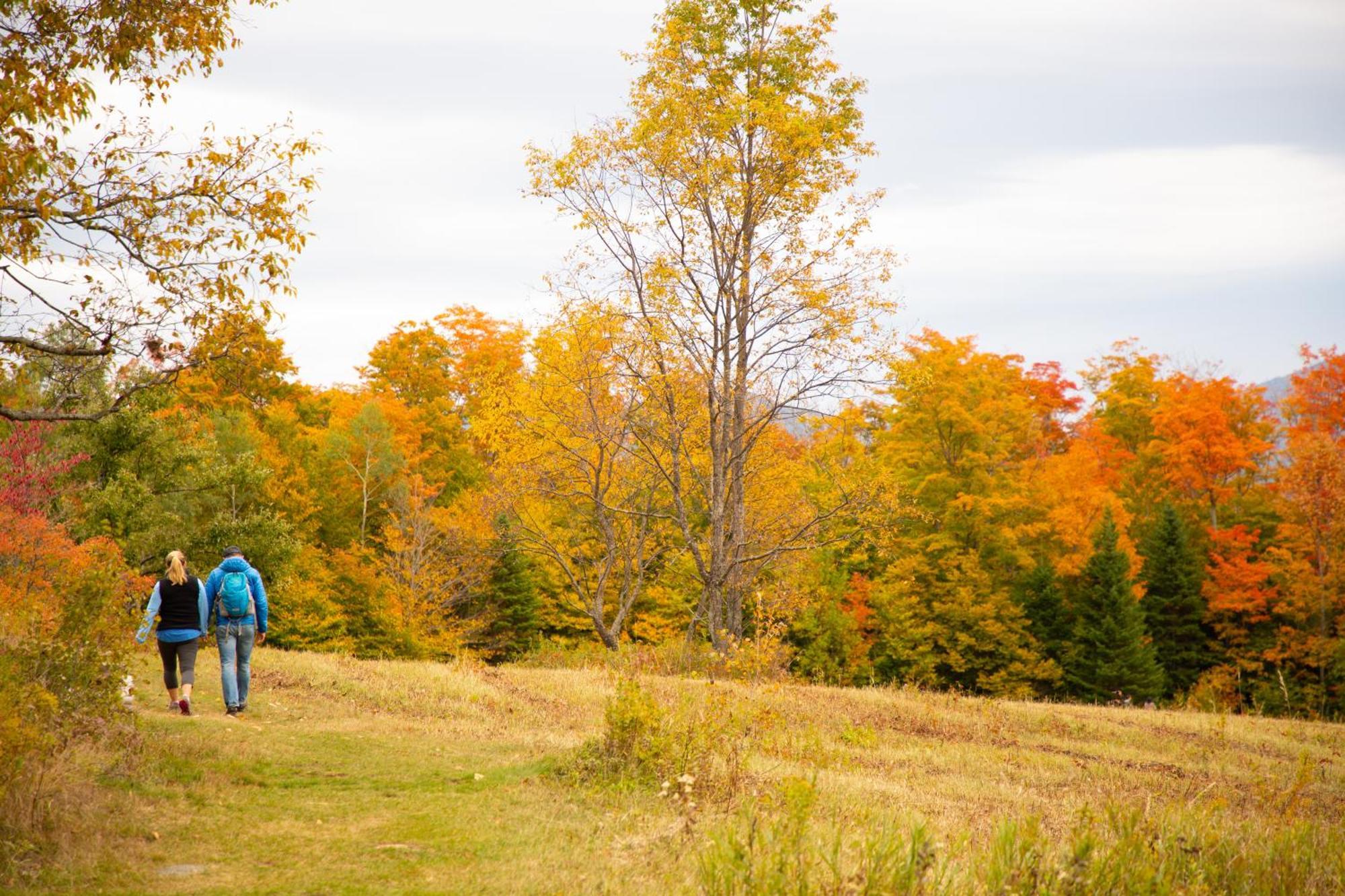 Lake Placid Inn: Residences Bagian luar foto