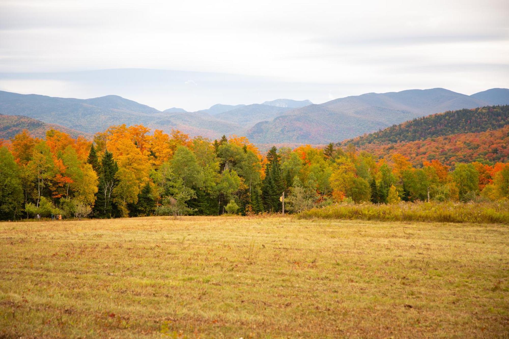 Lake Placid Inn: Residences Bagian luar foto